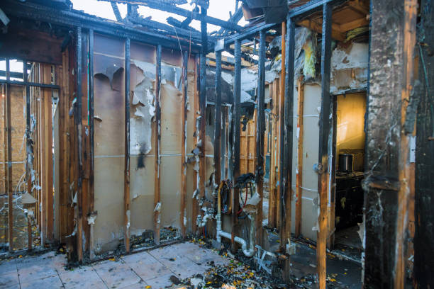 Professional Fire Damage Removal technician working in Topton, PA